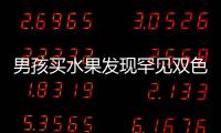 男孩買水果發現罕見雙色柚子 詳情是怎么樣的？