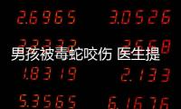 男孩被毒蛇咬傷 醫(yī)生提醒用嘴吸毒中毒越快