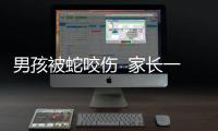 男孩被蛇咬傷  家長一定要注意