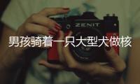 男孩騎著一只大型犬做核酸 網(wǎng)友：小心結(jié)婚那天下雨