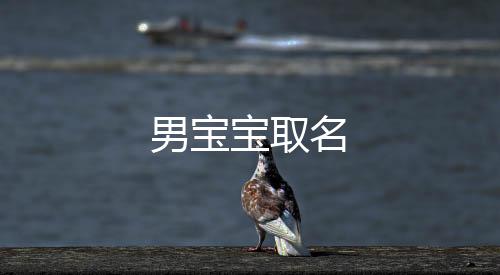 男寶寶取名