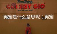 男寵是什么意思呢（男寵是什么意思）