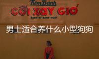 男士適合養(yǎng)什么小型狗狗？男人適合養(yǎng)什么小型寵物狗
