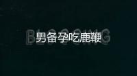 男備孕吃鹿鞭