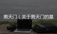 男天門（關(guān)于男天門的基本情況說明介紹）