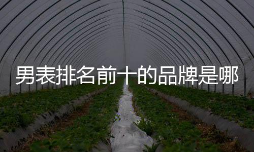 男表排名前十的品牌是哪些（男表品牌排行榜前十名）