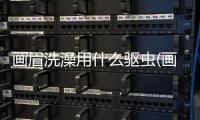 畫眉洗澡用什么驅(qū)蟲(畫眉不洗澡有什么好辦法)