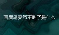 畫眉鳥突然不叫了是什么原因(畫眉鳥不洗澡是什么原因)