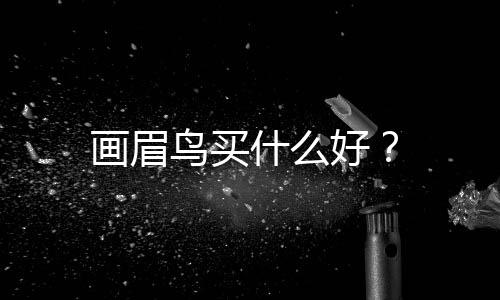 畫眉鳥買什么好？