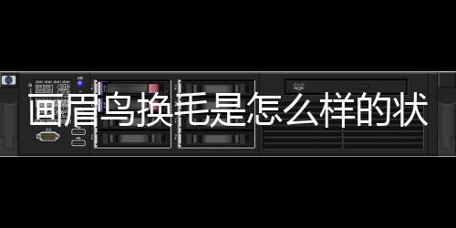 畫眉鳥換毛是怎么樣的狀態(畫眉鳥換毛期間怎樣管理)