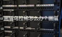 畫眉鳥拉稀怎么辦？畫眉鳥拉稀便該喂什么藥及用量