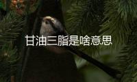 甘油三脂是啥意思