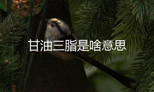 甘油三脂是啥意思