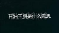 甘油三脂是什么意思
