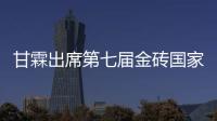 甘霖出席第七屆金磚國家國際競爭大會雙邊活動