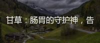甘草：腸胃的守護神，告別胃痛酸癥！