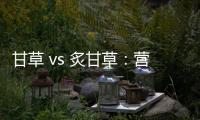 甘草 vs 炙甘草：營養師告訴你，它們的功效有何不同！