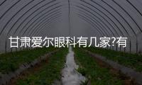 甘肅愛爾眼科有幾家?有6家,分別是白銀/蘭州/臨夏/隴西/天水/眼科