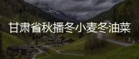 甘肅省秋播冬小麥冬油菜品種布局指導意見發布