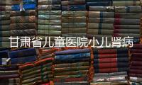 甘肅省兒童醫院小兒腎病科病區開展罕見病義診及咨詢活動