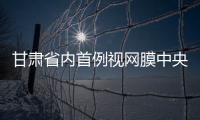 甘肅省內首例視網膜中央動脈阻塞眼動脈內溶栓在蘭大二院成功完成