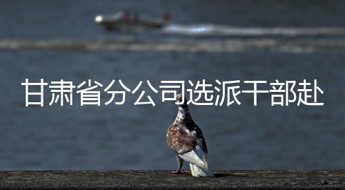 甘肅省分公司選派干部赴扶貧一線