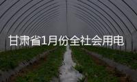 甘肅省1月份全社會用電量同比增長8.42%