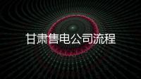 甘肅售電公司流程