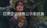 甘肅企業(yè)信息公示系統(tǒng)查詢?nèi)珖倬W(wǎng)（甘肅省企業(yè)信用信息公示系統(tǒng)填報）