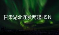 甘肅湖北連發兩起H5N6亞型禽流感