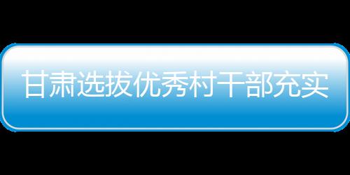 甘肅選拔優秀村干部充實基層公務員隊伍