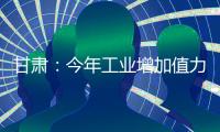 甘肅：今年工業增加值力爭同比增長11%%