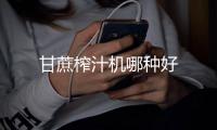 甘蔗榨汁機(jī)哪種好