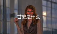 甘薯是什么