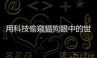 用科技偷窺貓狗眼中的世界：狗狗是色盲？貓咪討厭搖滾樂？