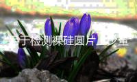 用于檢測裸硅圓片上少量金屬污染物的互補(bǔ)性測量技術(shù)