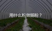 用什么粉做腸粉？