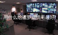 用什么給暹羅貓梳毛最好(用什么給暹羅貓梳毛好)