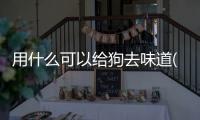 用什么可以給狗去味道(狗用什么去味道)