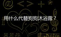用什么代替狗狗沐浴露？泰迪可以用硫磺皂洗澡嗎為什么