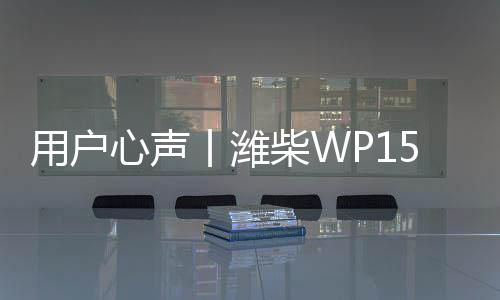 用戶心聲丨濰柴WP15NG 省時！省事！省錢！