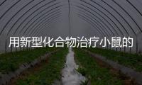 用新型化合物治療小鼠的糖尿病、代謝綜合征