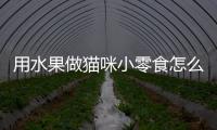 用水果做貓咪小零食怎么做？貓貓水果