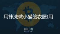 用襪洗做小貓的衣服(用襪子做小貓咪)