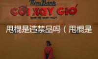 甩棍是違禁品嗎（甩棍是違禁品嗎）