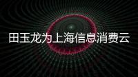 田玉龍為上海信息消費云峰匯致辭