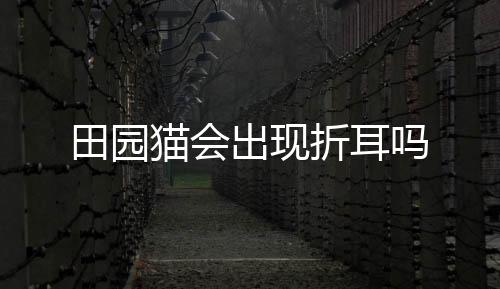田園貓會出現折耳嗎