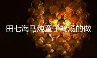 田七海馬燉童子雞湯的做法
