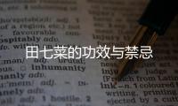 田七菜的功效與禁忌
