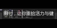 田七，讓你重拾活力與健康！